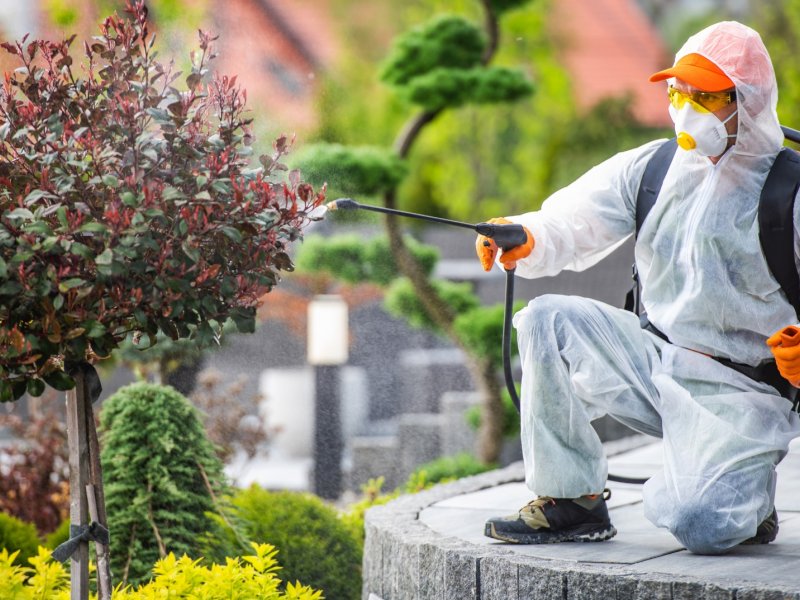 Alaşehir Haşere İlaçlama